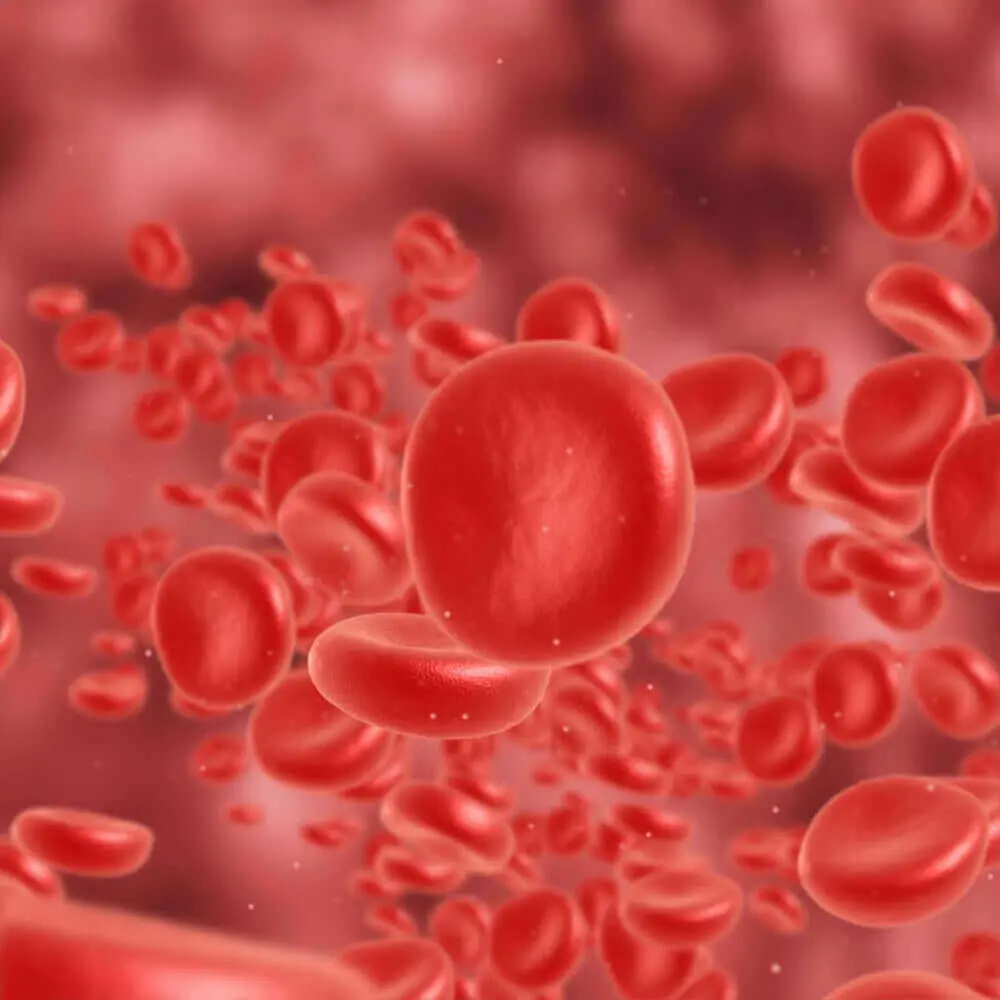 Anemia Evaluation Package preventive health package