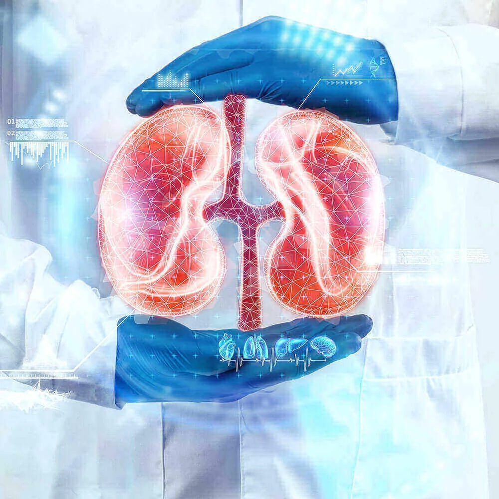Kidney Health Package preventive health package