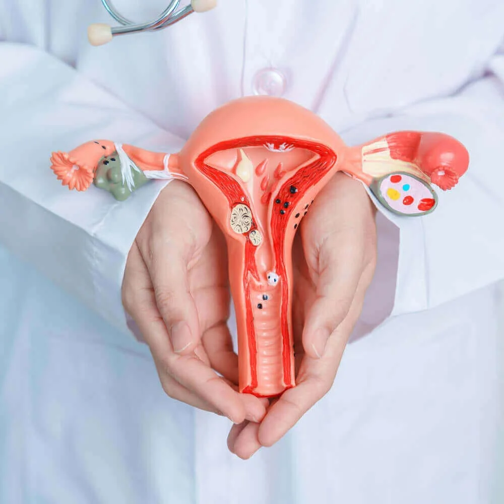Post-Menopausal / Women’s Health Health Package preventive health package